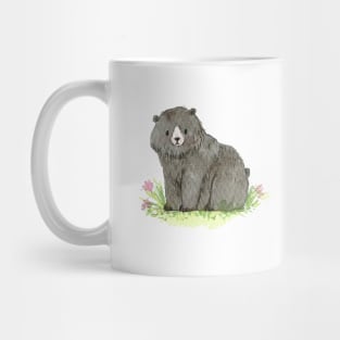 Oso Pardo Mug